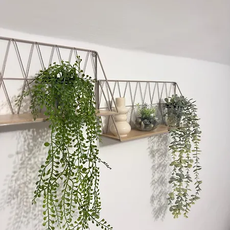 Apartamento Vico Del Sarto